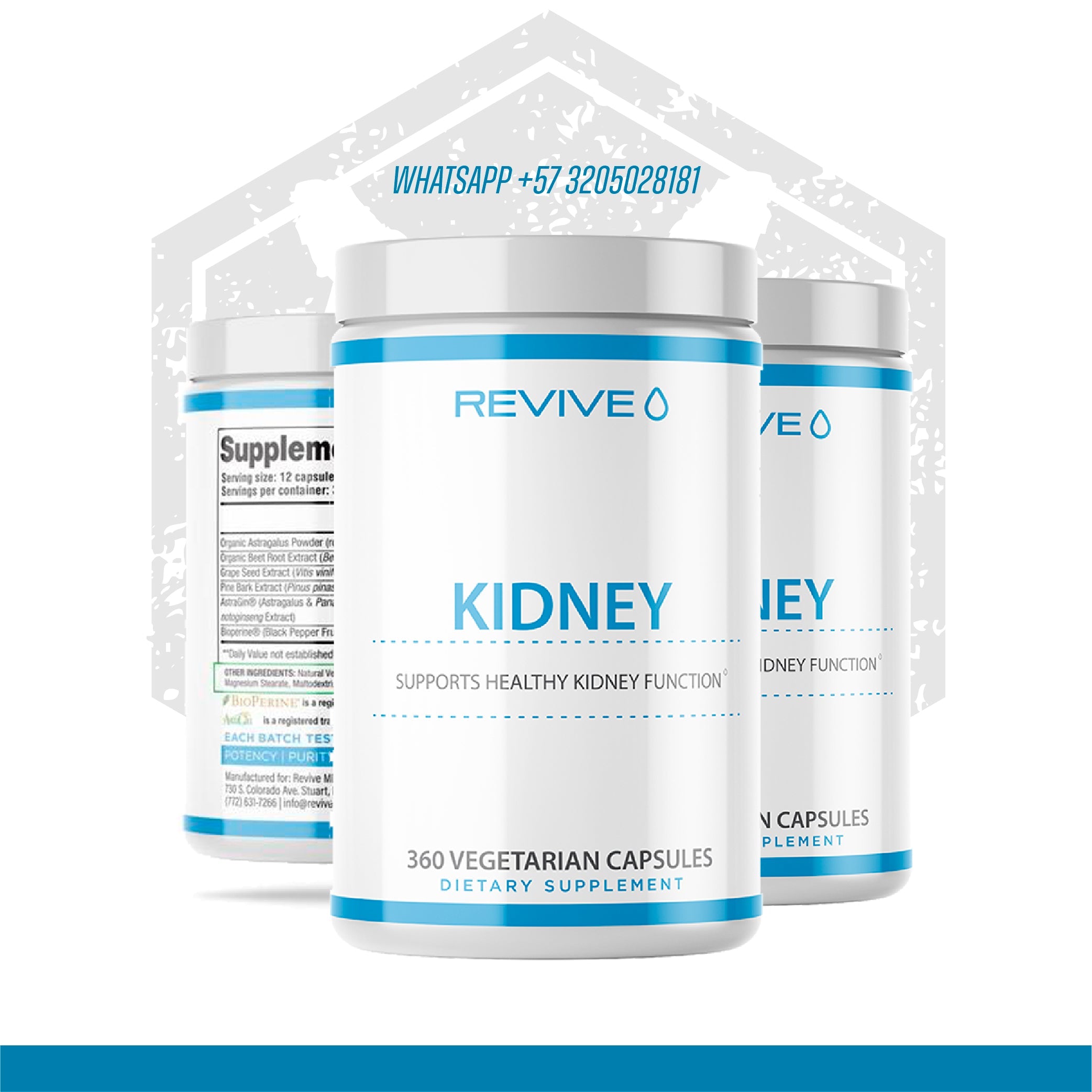Kidney - Salud Riñones